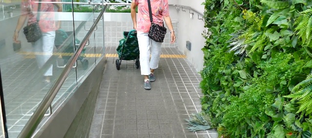馬鞍山恆安邨街市入口加建的斜道 馬鞍山恆安邨街市入口加建的斜道