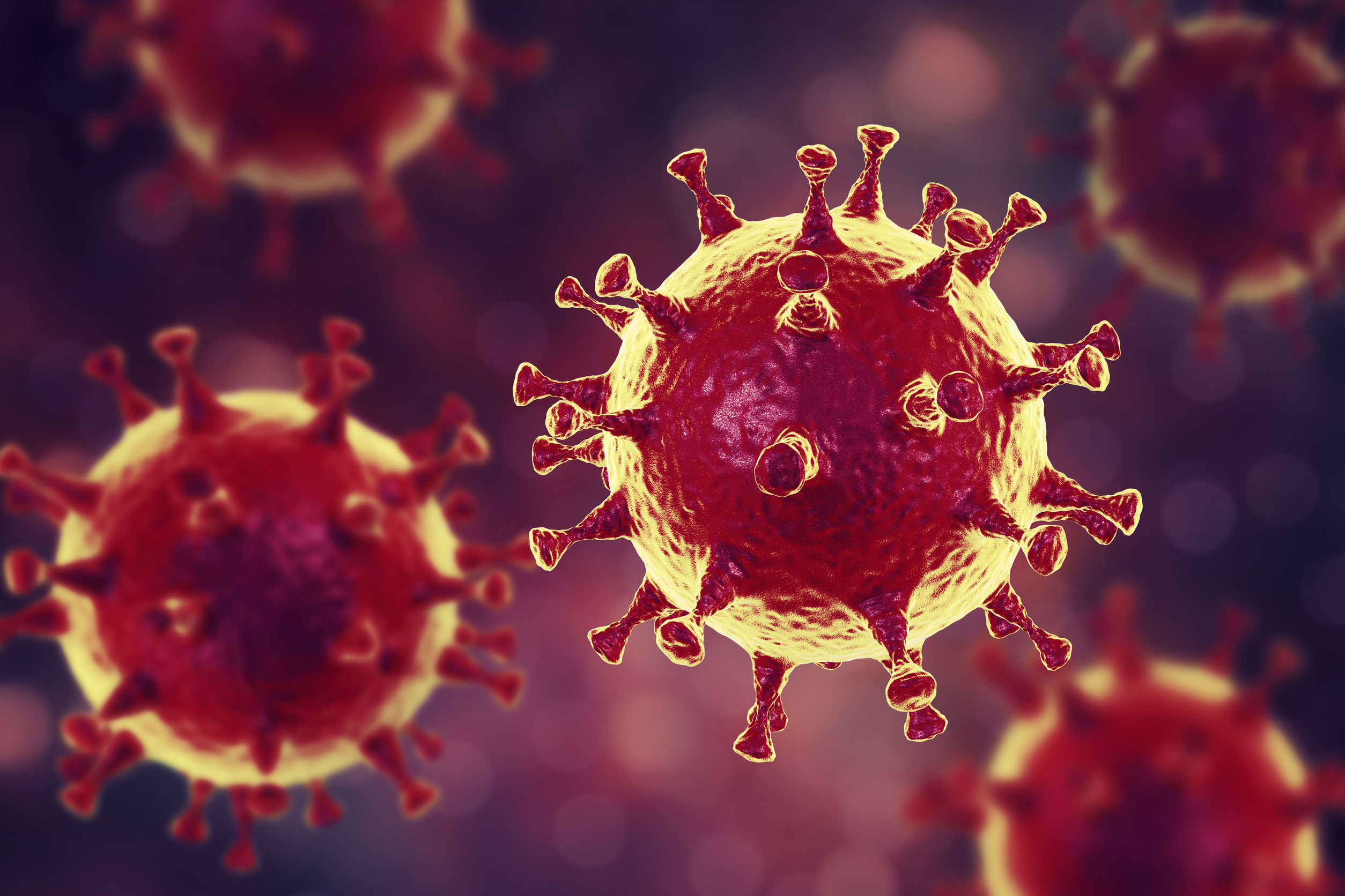 Photo of  a coronavirus