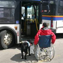 附有低地台設施以供輪椅乘客上落的公共巴士的照片