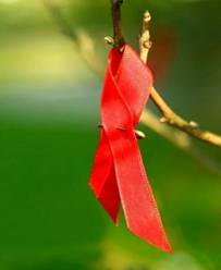 Photo of a red ribbon, international symbol of HIV and AIDS awareness