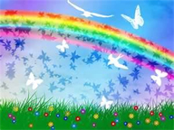 Photo of rainbow, symbol of LGBT movement