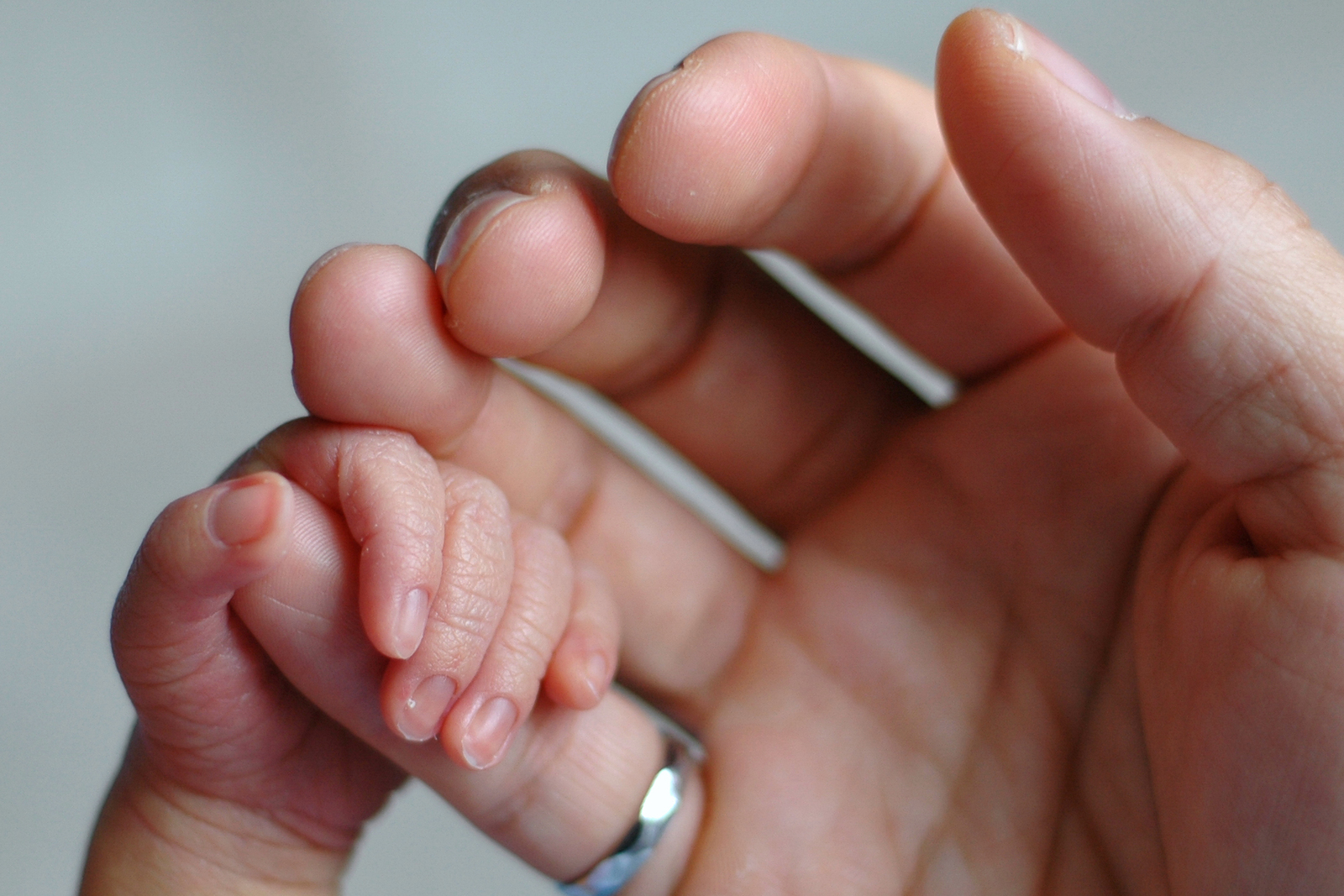 Image of a big hand holding a small hand Image of a big hand holding a small hand