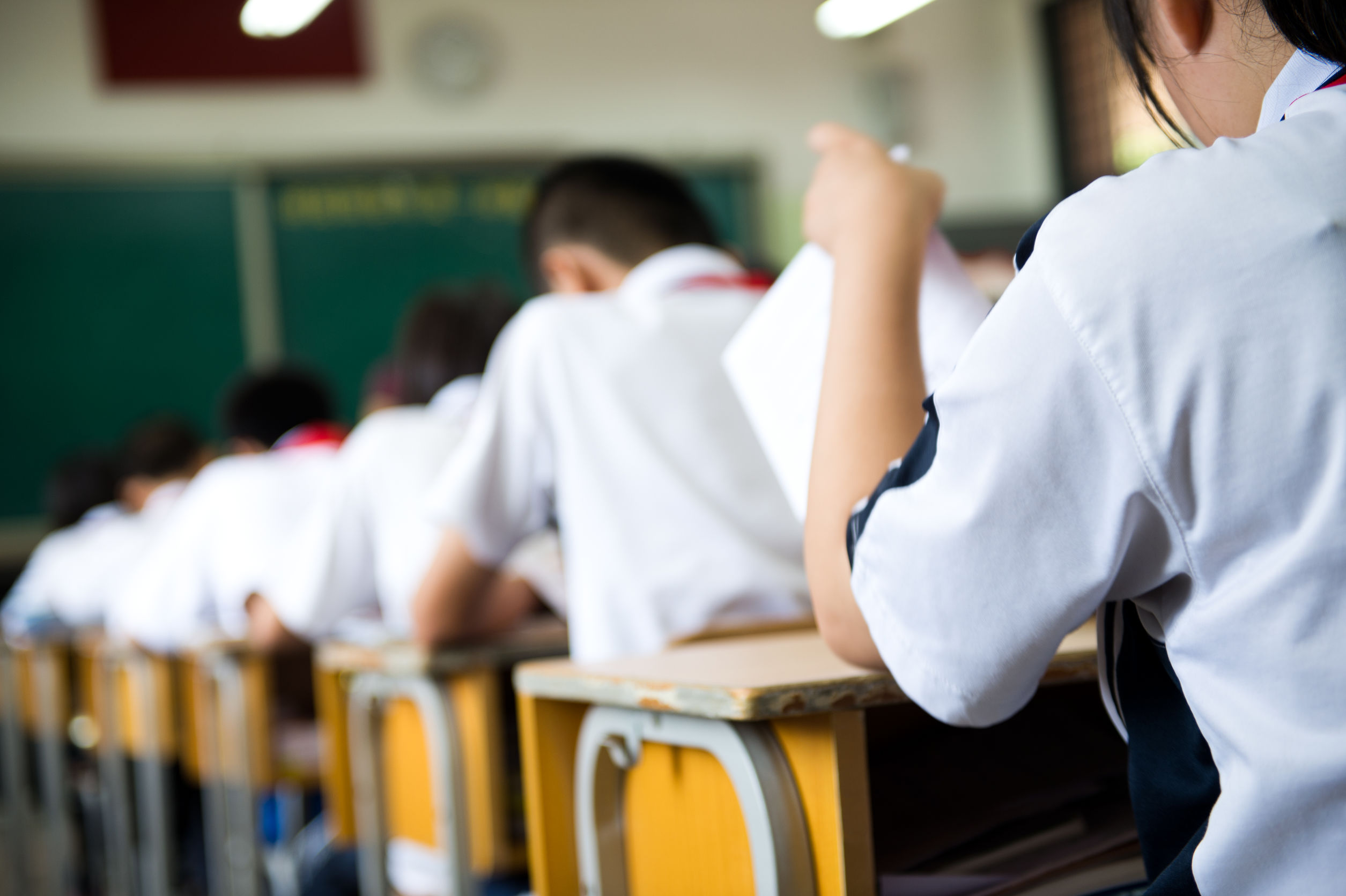 Photo showing the backs of students sitting in a row in a classroom, looking focused 