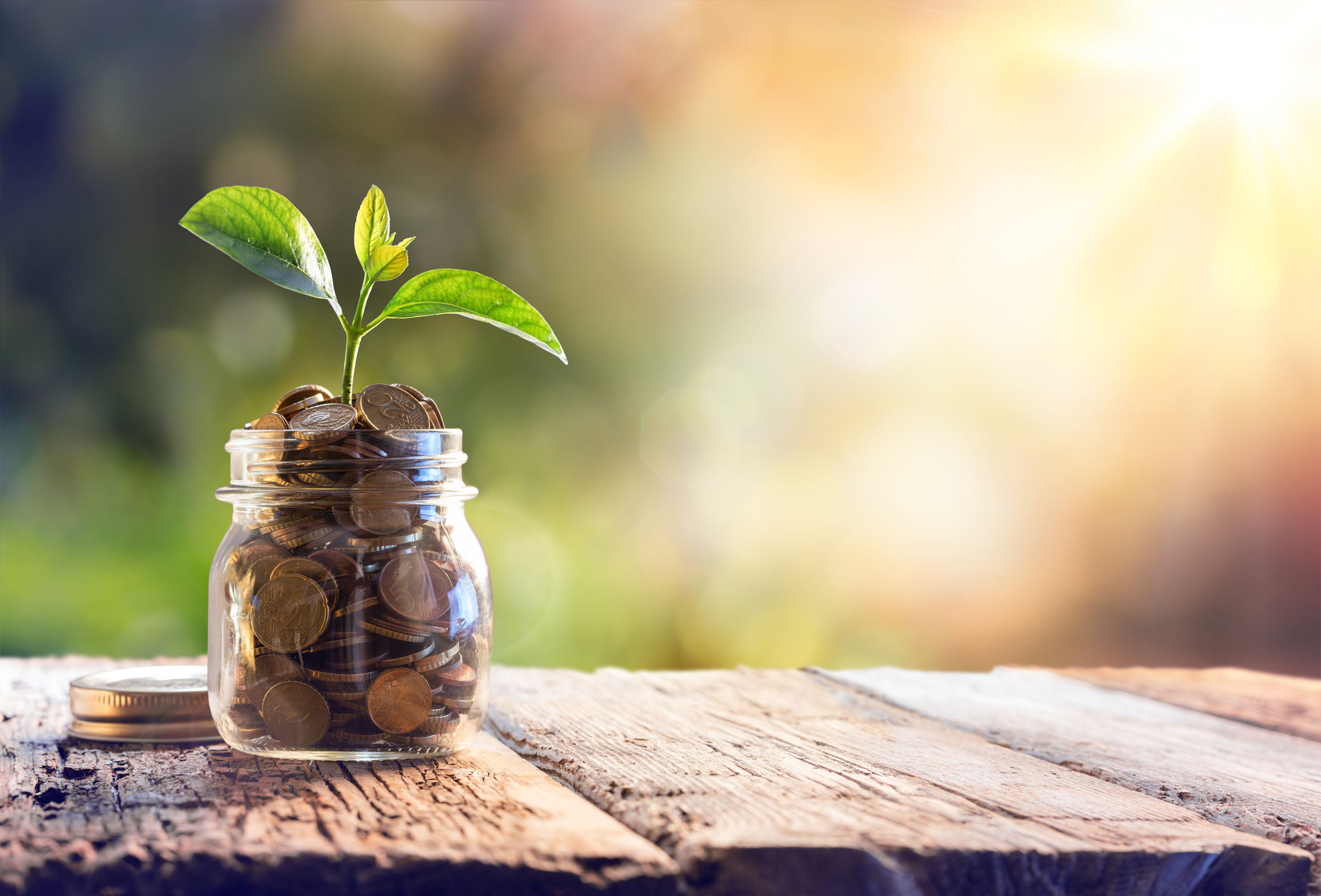 Photo of a glass of coins, with a seedling sprouting at the top.