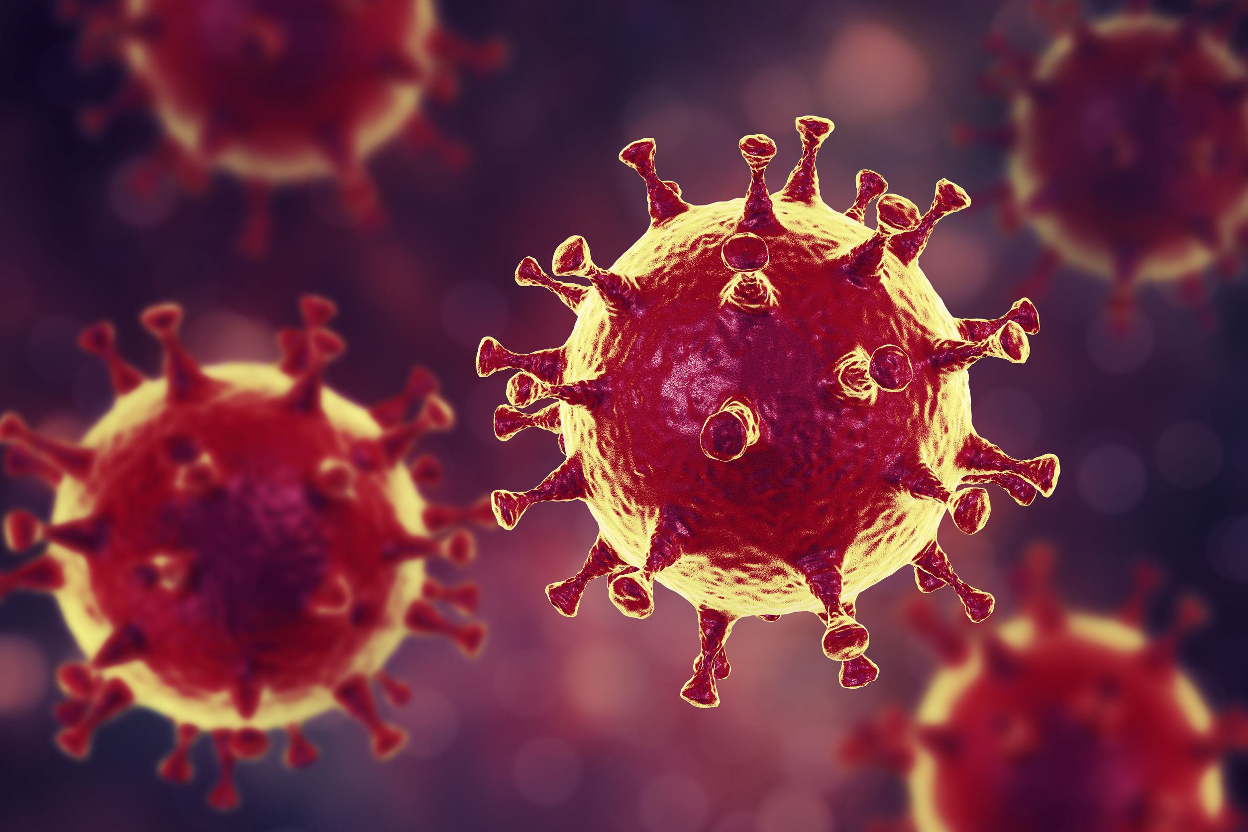 Photo of a coronavirus Photo of a coronavirus