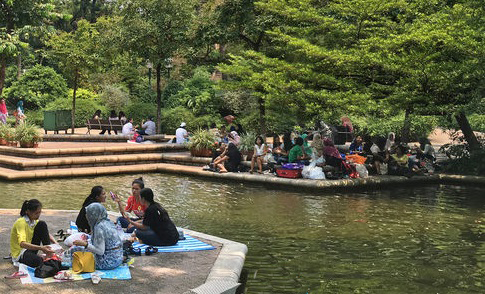 外傭在公園休息的照片。 外傭在公園休息的照片。