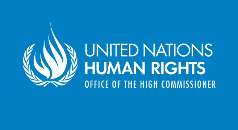 Icon on United Nations Human Rights Commission