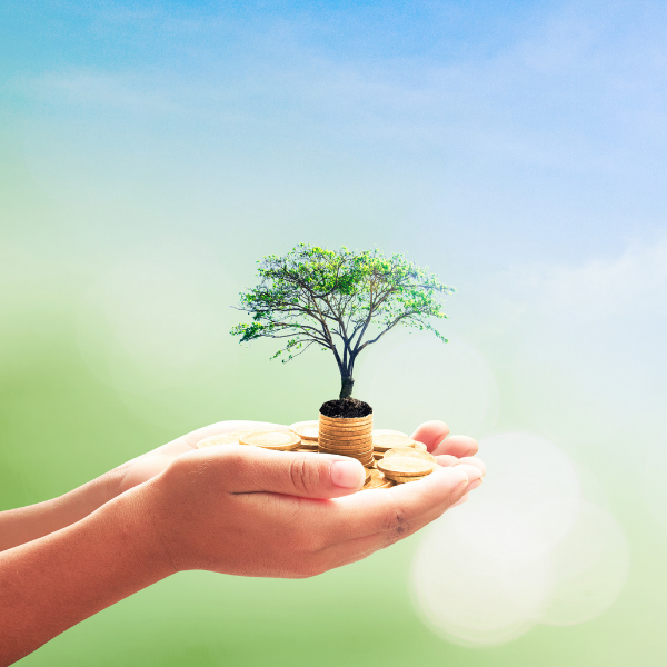 Image of a miniature thriving tree sitting on a person's hand
